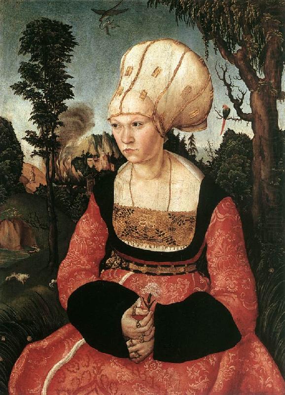Portrait of Anna Cuspinian dfg, CRANACH, Lucas the Elder